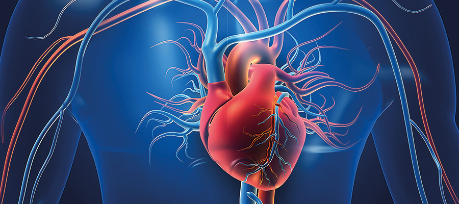 Kalp Damar Hastalıklarının Tedavisi